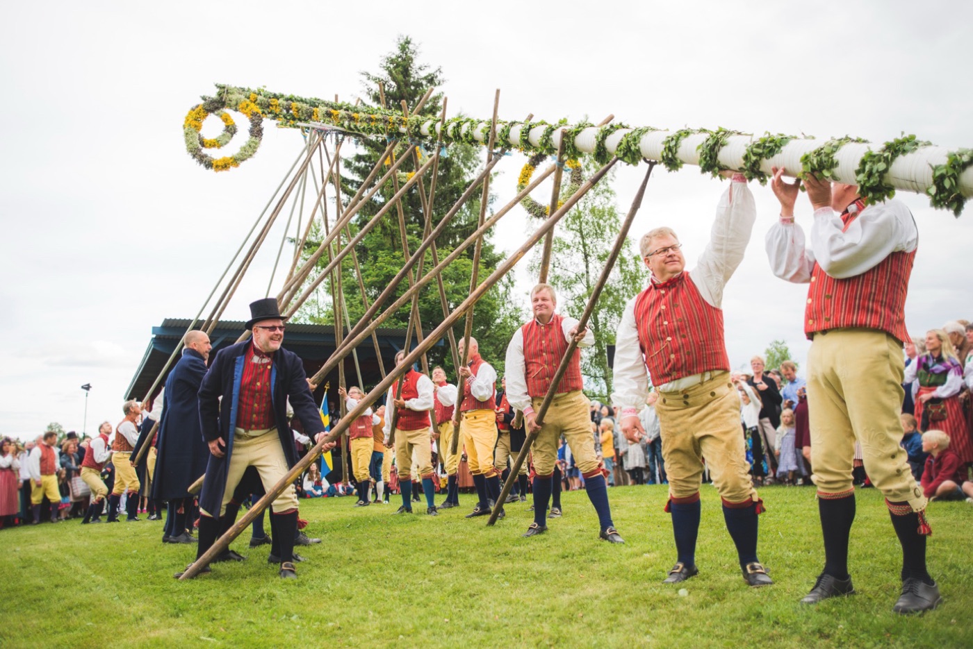 Resning av midsommarstången under midsommar
